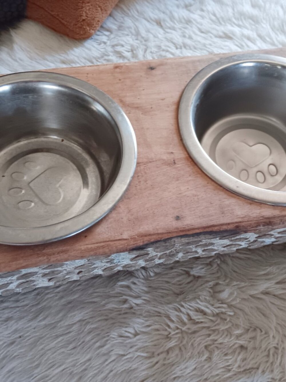 Feed Your Furry Family! 3 pc elevated pet feeder